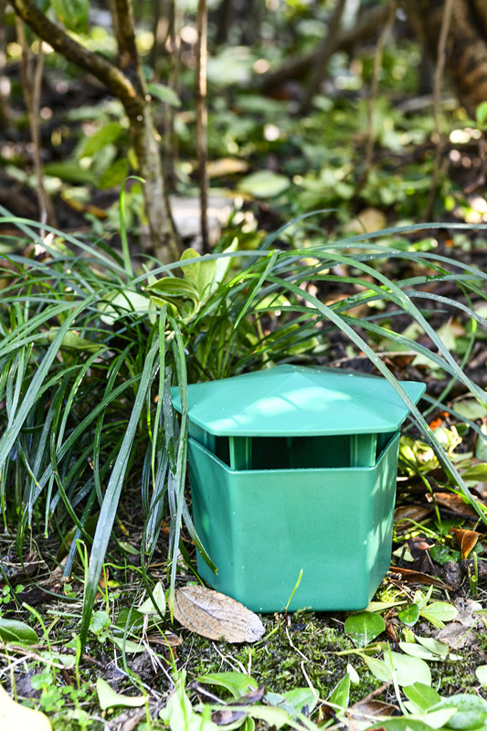 Cacciatore di lumache da giardino e da prato La soluzione definitiva per i parassiti del giardino 3