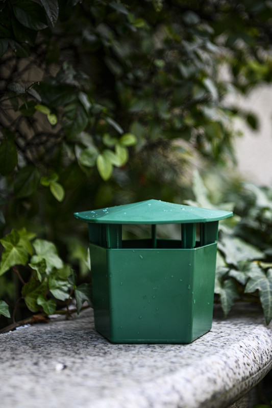 Cacciatore di lumache da giardino e da prato La soluzione definitiva per i parassiti del giardino 4