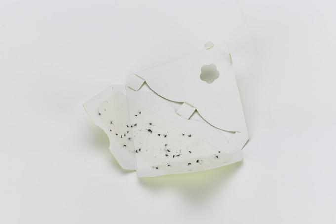 Un'efficace trappola per insetti da finestra per il controllo di parassiti con colore personalizzato e 2.0 g di colla inclusa 10