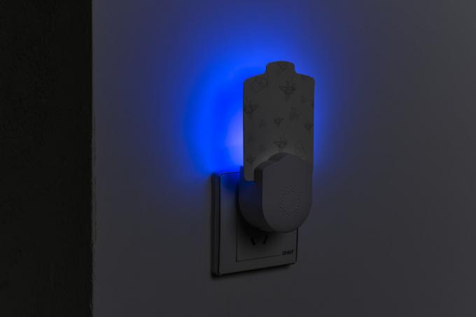 Termites Control Plug-in Glue Board Lampada adesiva per le zanzare per la casa e per il perimetro 4